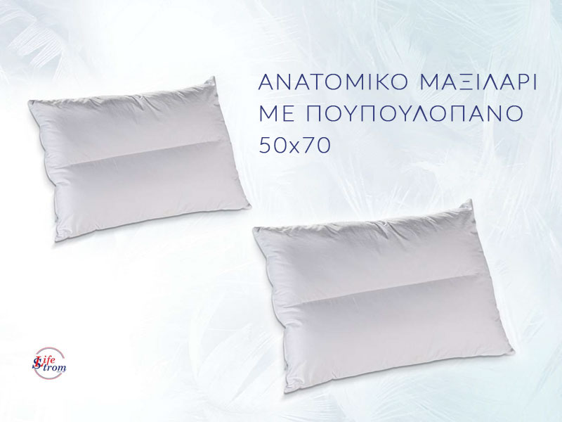 Ανατομικό Μαξιλάρι με Πουπουλόπανο