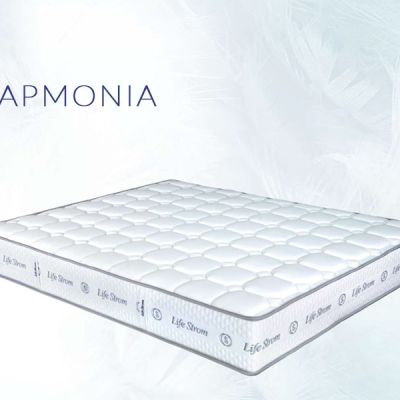 Αρμονία Ανατομικό στρώμα
